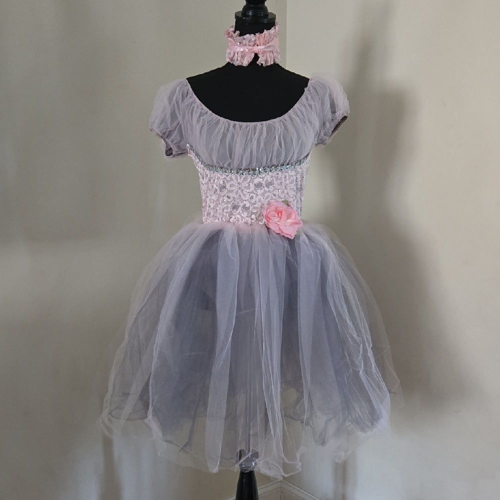 Pink And Grey Romantic Long Tutu Ballet Dance Costume